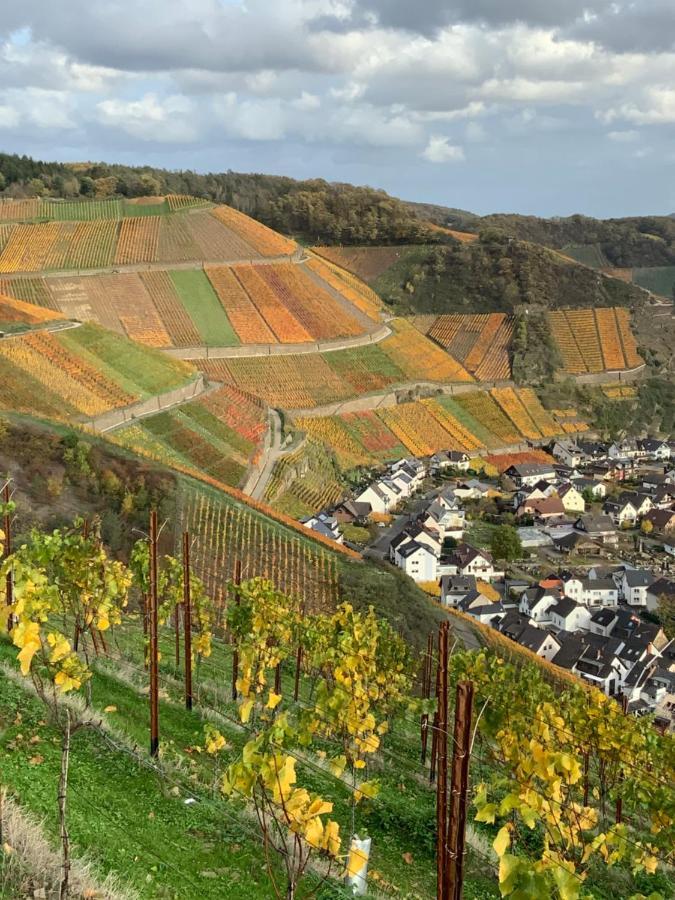 Rheinvilla Arte Remagen Exterior foto